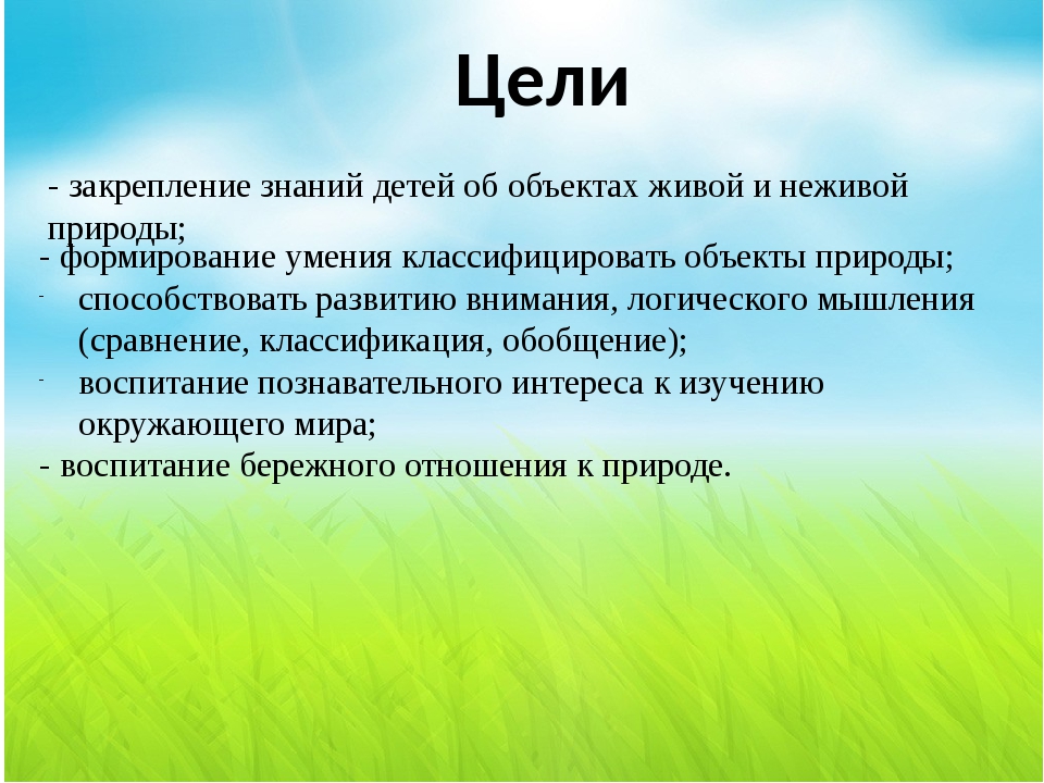 Цель дикого. Цели и задачи в живой и неживой природе. Цель игры живое неживое для дошкольников. Неживая природа цель. Цель проекта Живая и неживая природа.