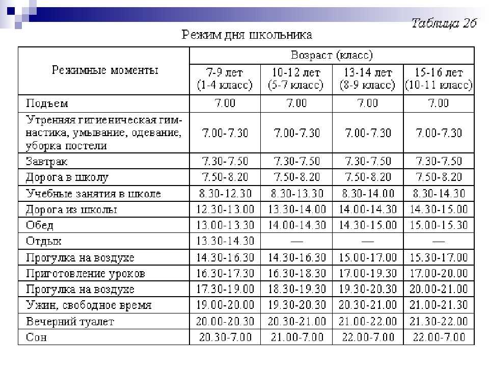 Диаграмма дня распорядка дня