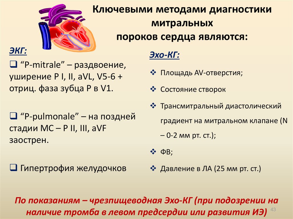 Презентация пороки сердца у беременных презентация