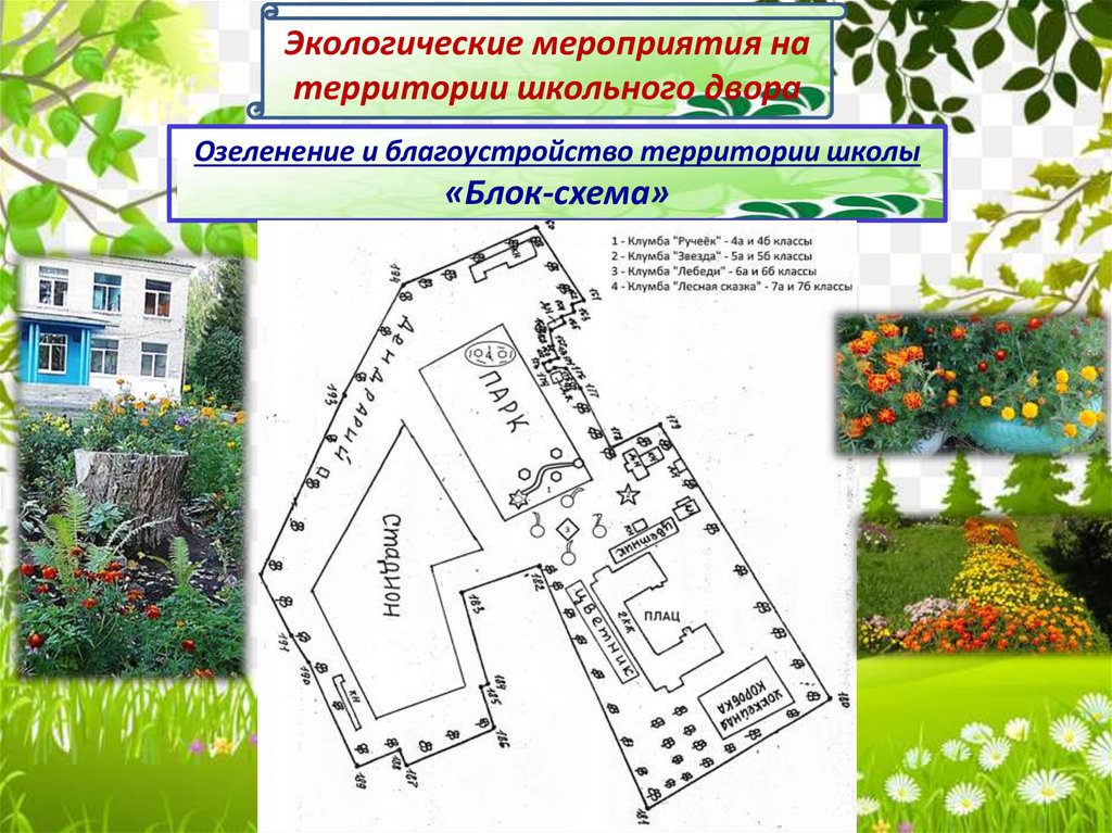 Закрепленной территории