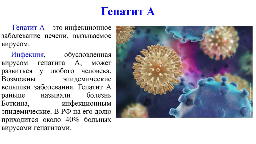 Презентация на тему вирусные заболевания