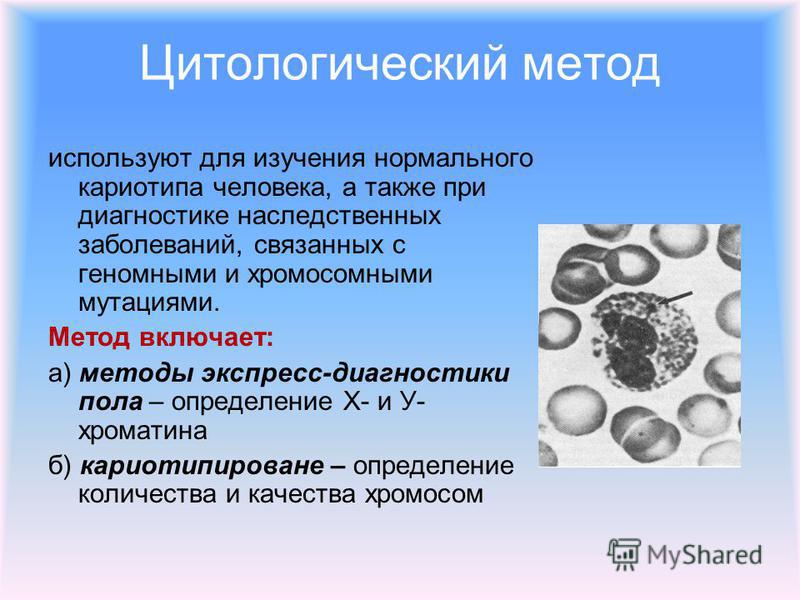 Цитологические исследования презентация