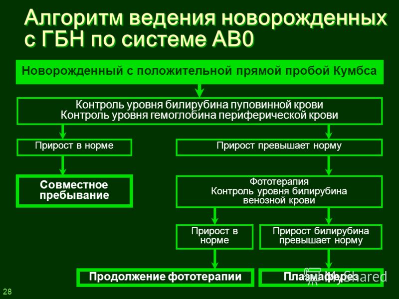 План обследования при желтухе