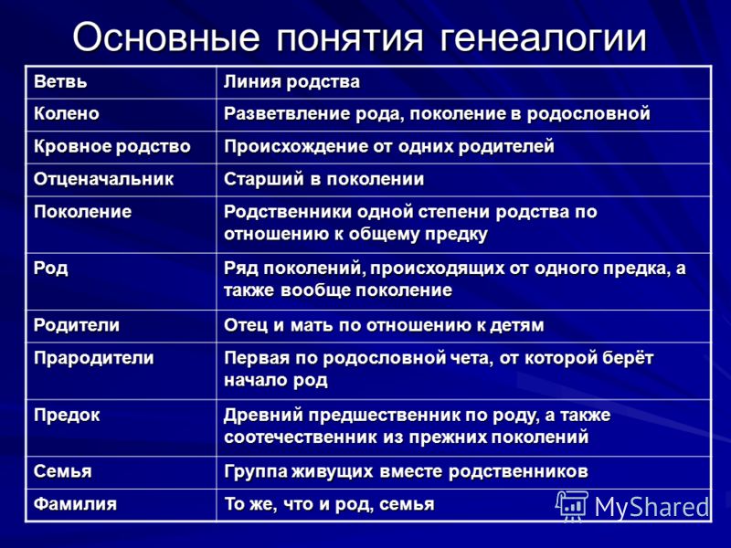 Степень родства в анкете образец