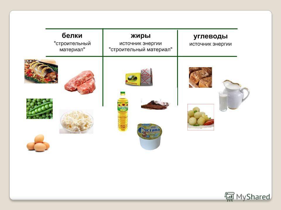 Проект белки жиры углеводы