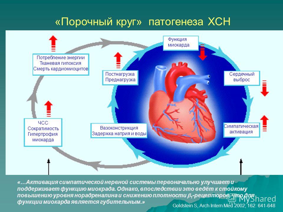 Картинки при сердечной недостаточности картинки