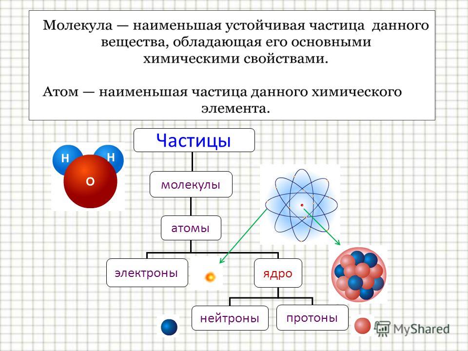 Связанная система элементарных частиц содержит 19 электронов. Схема строения материи элементарные частицы атомы. Элементарные частицы физика схема. Строение ядра. Что такое элементарные частицы?. Из чего состоит молекула схема.