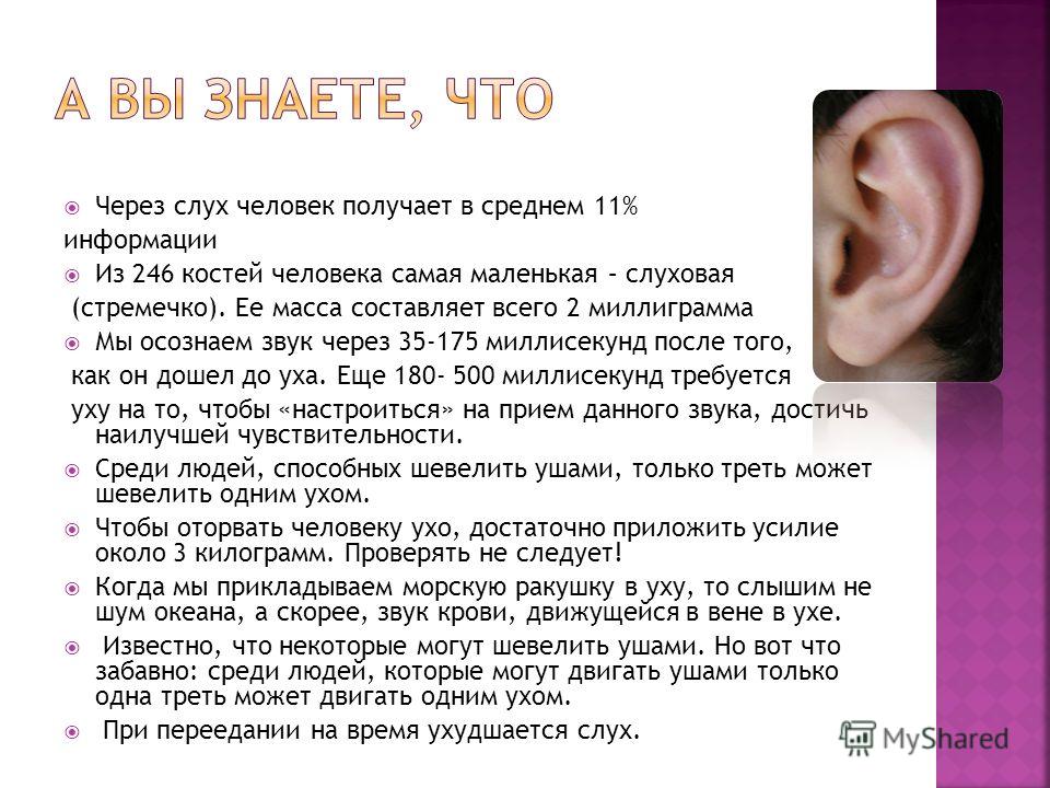 Правда ухо. Как шевелить ушами. Пределы слуха человека.