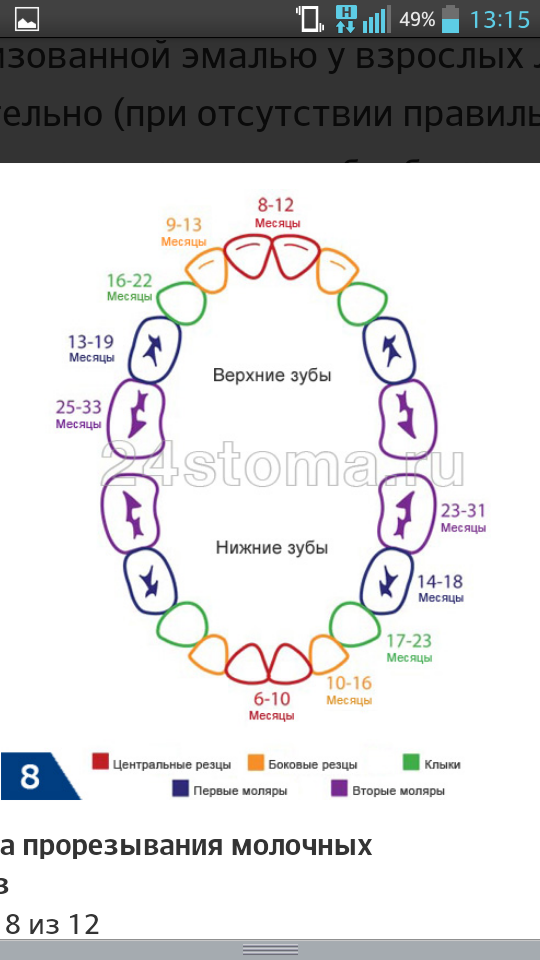В каком возрасте меняются зубы у детей схема