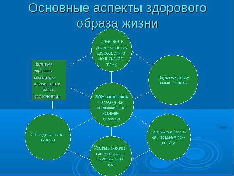 Социальная роль ключевые аспекты. Аспекты здорового образа жизни. Основные аспекты здорового образа жизни. Главные аспекты здорового образа жизни. Биологические аспекты здорового образа жизни.