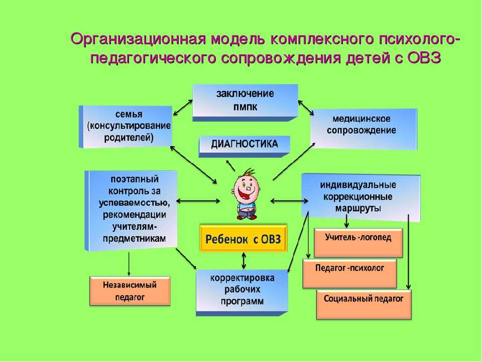 Проект деятельности специального коррекционного образовательного учреждения