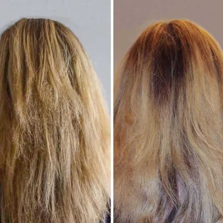 Как восстановить волосы после осветления в домашних