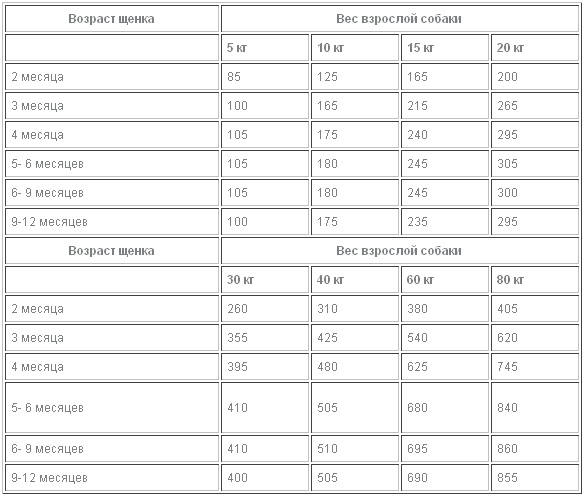 Норма французского бульдога