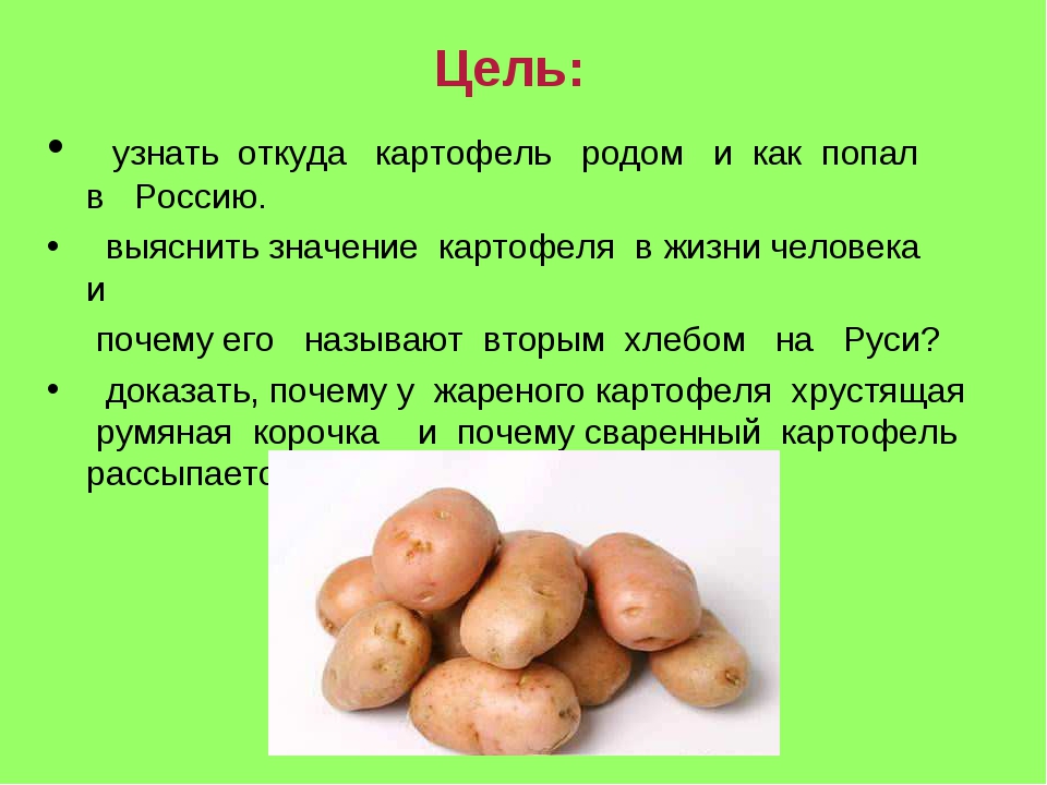 Откуда картошка в россии. Картофель презентация. Картошка для презентации. Презентация на тему картофель. Проект про картошку.