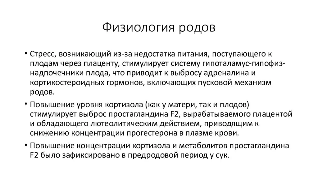 Периоды родов акушерство презентация